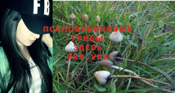 бошки Алексеевка